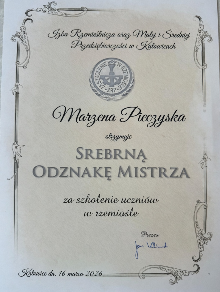 Profesjonalna stylizacja fryzur - nasze realizacje
